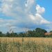 Buzau: Hub Logistic Teren Industrial-Comercial 5.000 mp,  DB Schenker / E85